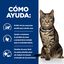 8 kg Hill's Prescription Diet Metabolic pienso para gatos, , large indicador imagen numero 4